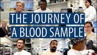 The Journey of a Blood Sample #DiscoverPathology