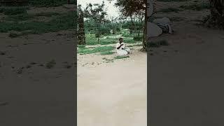 mahavir bhagat ji rasik