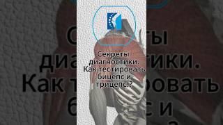 Как тестировать бицепс?#кинезиология #врач #невролог #кинезиолог #остеопатмосква