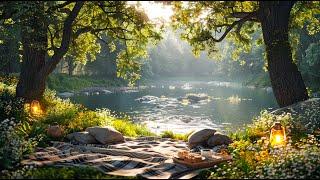 Serene Summer Picnic by The River | Relaxing Nature Sounds of Birds and Gentle River Flow