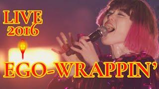 EGO-WRAPPIN' LIVE - ROUTE 20 HIT BUDOKAN 2017.03.15 at 日本武道館 DVD 2