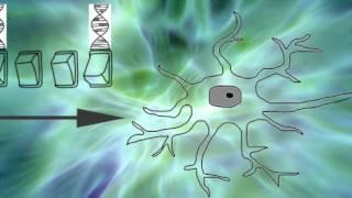 Bioelectricity, Morphology, & Electroceuticals | Electricity of Life