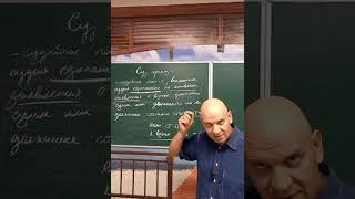 Определение. Судебный приказ #олимпиады #право