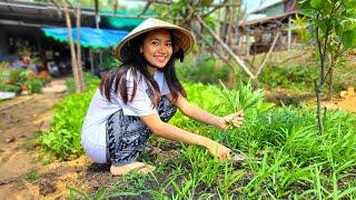 My First Time in Vietnam Countryside, Long An | Lần đầu tiên người Mỹ về miền quê Việt Nam