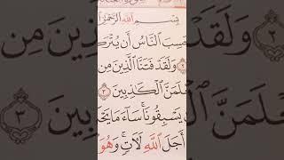 تلاوة من سورة-العنكبوت #بصوت سمير-الصالحين #راحة_نفسية #اكسبلور #قران_كريم #لايك #ترند