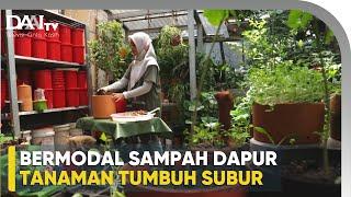 Mengompos Sampah Dapur, Tanaman Tumbuh Subur