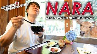 Street Food and Traditional Food, Hiking at Quiet World Heritage with Deer at Nara Ep. 411