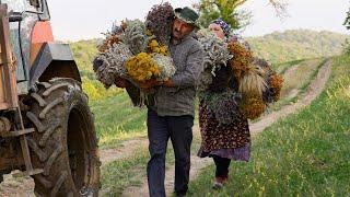  Collecting and Drying Natural Seasonings