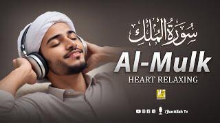 Relaxing Voice of Surah Al-Mulk سورة الملك | CALM RECITATION | Zikrullah TV