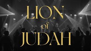 LION OF JUDAH // Anyah West (feat. Lajf & KDM Uwielbienie) // Planetboom - Cover PL