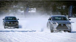 Lexus | Precision Service: Winter Tires vs. All-Season Tires