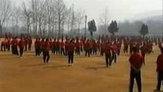 Shaolin Wushu Guan