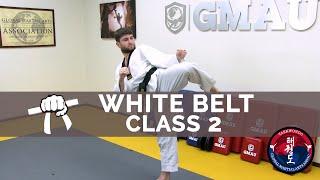 Taekwondo Follow Along Class - White Belt - Class #2