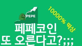 페페코인 떡상신호? 업비트 pepe 밈코인 봉크 비트코인 10만불.