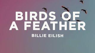 Billie Eilish - BIRDS OF A FEATHER (Lyrics)