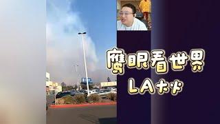 鹰眼看世界：LA大火 #大头鹰 #华人在海外