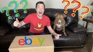 We bought a $1000 mystery box!