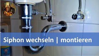 Siphon wechseln | austauschen | montieren