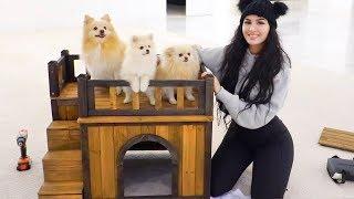 BUILDING MY DOGS A HOUSE