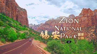 自驾洛杉矶到黄石公园第一站 犹他州锡安国家公园 Zion National Park Utah Road Trip in USA 4K