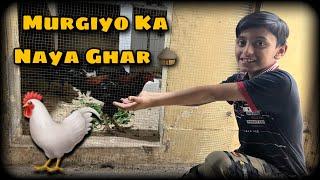 Murgiyo Ka Naya Ghar - Daily Birds Vlogs - Hamare Birds Vlogs