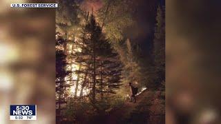 Greenwood fire: Media allowed to survey devastation left by wildfire in Superior National Forest | F