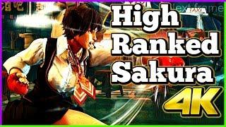 High Ranked Sakura Compilation | Street Fighter 5  AE | 4K Ultra HD - 60fps - PC