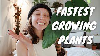 FASTEST GROWING PLANTS | easy houseplants that are perfect for growing season!