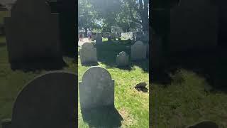 A cemetery in Salem Massachusetts.