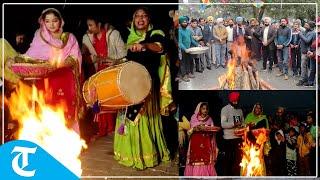 Residents celebrate Lohri with traditional Punjabi boliyan and gidda in Amritsar