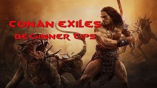 Conan Exiles PS4 4 Basic Tips for the beginner: Removing an item from the Radial Wheel, campfire