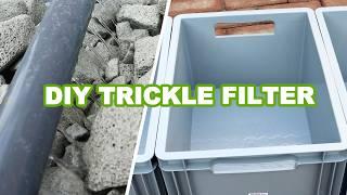 DIY simple to make Trickle Filter