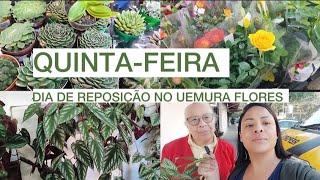 OLHA AS NOVIDADES QUE ENCONTRAMOS, COMPREI MAIS UMA PLANTA DIFERENTE