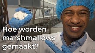 Hoe worden marshmallows gemaakt? | Vragen van Kinderen