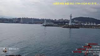 제주도 탑동 방파제  내 6자 광어 어디로.......ㅠㅠ