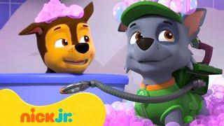 Patrulha Canina | Hora do Banho de Espuma da Patrulha Canina! c/ Chase  | 10 Minutos | Nick Jr.