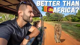 Sri Lankan VS African Safaris Which is WILDER?