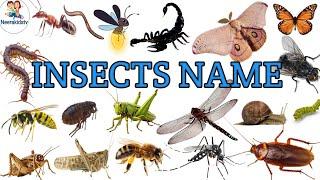 Insects Name in english|Insect Name with pictures and spelling|Insect Name for kids|kids viral video