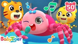 Little Spider's Big Adventure + More Nursery Rhymes & Animal Songs For Kids | BabyTiger
