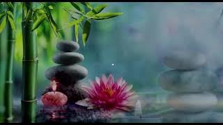 10 minute calming meditation in Farsi ده دقيقه مديتيشن براي  روزي پر ثمر  يا كم كردن استرس