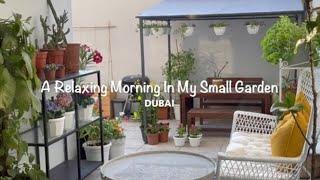 A Relaxing Morning In My Small Garden | Silent Vlog | Dubai Life