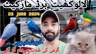 Lalukhet Exotic Market Karachi Latest updates|| Parinda Marker || Liaqutabad Market