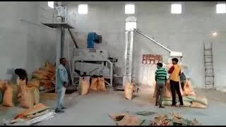 Automatic wheat cleaning and grading palnt