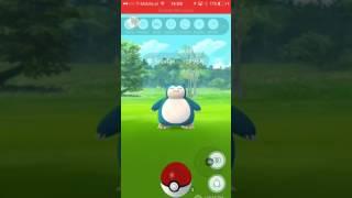 #1Czy złapie - Snorlax