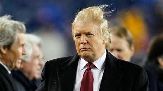 Donald Trump: Presidential Hair Apparent