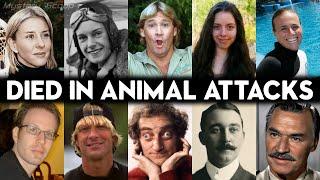 10 Shocking Fatal Animal Encounters | Careless or Bad Luck?!