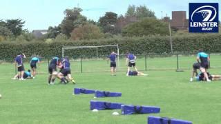 Dominic "Dippie" Ryan - Leinster Rugbys tackling machine