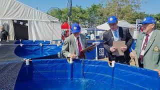 KOI Judging and 2024 Grand Champion at the South Africa National KOI Show