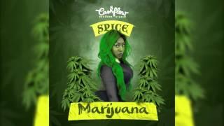 SPICE - MARIJUANA [WEED & SEX] CASHFLOW RECORDS