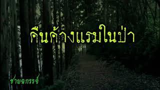 เรื่องเล่าในป่า. คืนหลอนนอนกลางป่าลึก